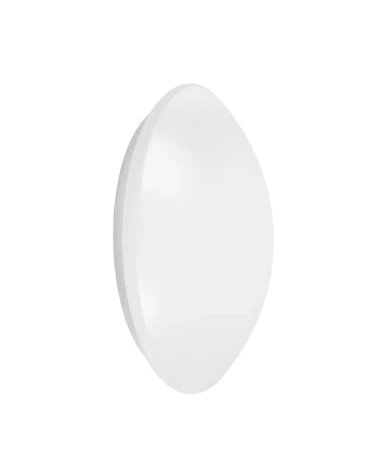 asset-3560608_SF_CIRCULAR_250.webp