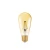 asset-487681_661495_Vintage_1906_LED_Edison.webp