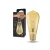 4099854091339_290_LED V1906 EDISON 2.5W 824 FIL GOLD E27 MiCh.webp